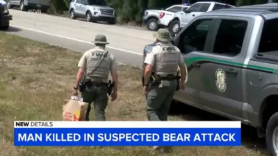 88-Year-Old Man and Dog Killed in Separate Bear Attacks in Florida.