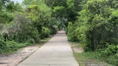 Massive Alligator Startles Visitors as It Strolls Along Walkway.