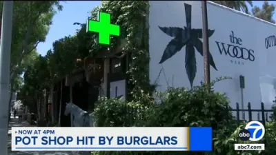 Thieves Ransack LA Pot Shop in West Hollywood. 