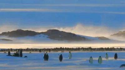 Penguin Chick Learns to Make Friends.