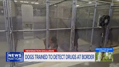 Meet Border Patrol's First Fentanyl-Sniffing K-9s on the Frontlines.
