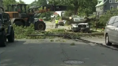 Fallen Tree Crushes Van, Knocks Out Power to 150 Homes in New Rochelle. 