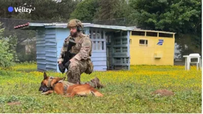 France Debuts First Drone-Guided Military Dog in Combat Operations.