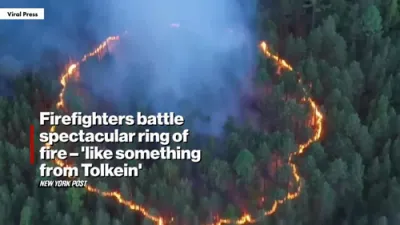 Firefighters Confront Rare 'Ring of Fire' Blaze in Russian Forest. 
