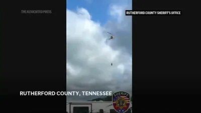 Runaway Pet Zebra 'Ed' Captured in Tennessee. 