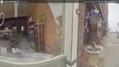 Iowa Cops Respond to 'Bloody Burglary' &mdash; Find Baby Deer in Hair Salon. 