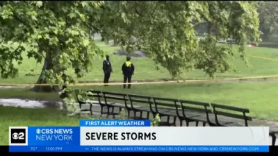 Teenager Struck by Lightning in Central Park. 