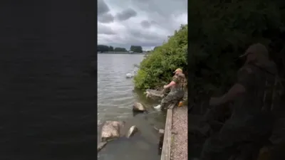 Heroic Moment: Man Rescues Baby Swan Tangled in Wires.
