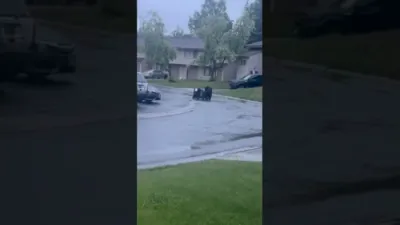 Bear's Hilarious Struggle to Open Trash Can in Alaska. 