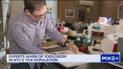 Tick Alert: New Yorkers Face Highest Risk of Bites This Week. 