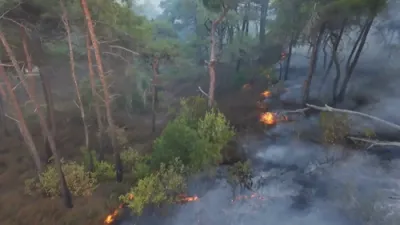 Raging Wildfires Devastate Syria's Latakia Region as Crews Battle Flames for Days.