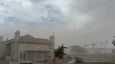 Dust Storm Sweeps Through Las Vegas, Palm Trees Bend in the Wind. 