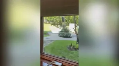 Mama Bear Caught Red-Handed Stealing Bird Feeder Outside New York Home.