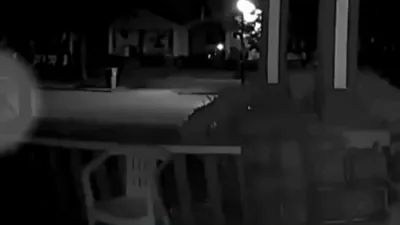Mysterious Big Cat Spotted Roaming Rochester, New York. 