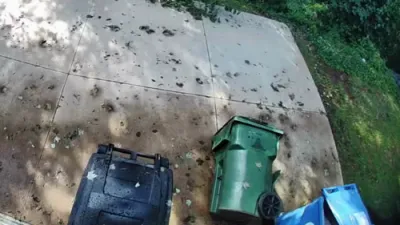Old 'Bear-Proof' Trash Can Holds Strong in Asheville Yard Showdown. 