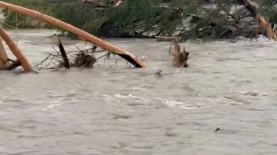 Deer Struggles in Texas Floodwaters as Recovery Efforts Continue. 