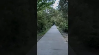 Cyclist's Evening Ride Interrupted by Two Alligators in South Carolina. 