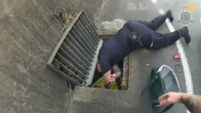 Queensland Police Rescue Nine Ducklings Trapped in Storm Drain. 