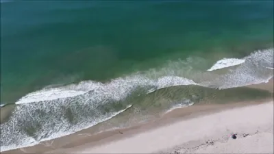 Pod of Dolphins Show Off Athletic Hunting Skills Off New York Coast.