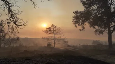 Firefighters Battle Raging Wildfire in Cyprus' Limassol Province. 
