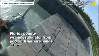 Florida Deputy Wrangles Alligator from Backyard Pool &mdash; With Bare Hands!