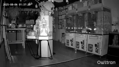$30K Worth of Dolls Stolen in California Store Robbery.