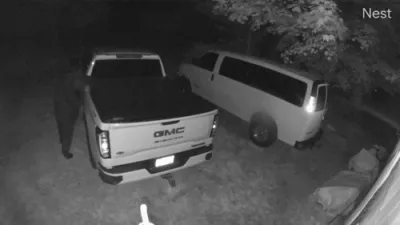 Bear Caught Snatches in Seed in Truck. 