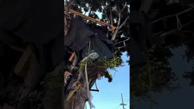 Viral 3-Story Treehouse in LA Torn Down.