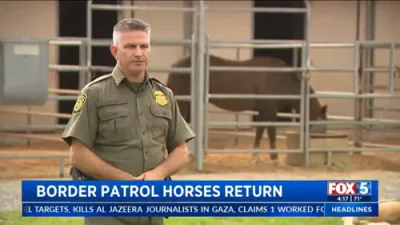 Border Patrol Horses Return.