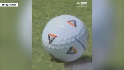 Did a Fly Really Help Tommy Fleetwood's $2M Putt?