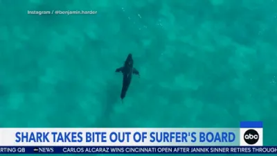 Surfer Thrown Into Air by Shark Attack.