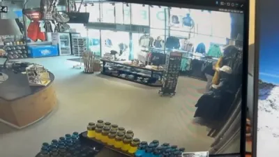 Bizarre Scene as Cow Strolls Into Sports Store. 😲😱