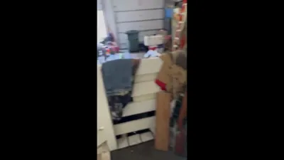 Dog Chases Bear Away After Man Finds It Sniffing Around His Garage.