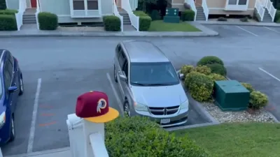 Family Shocked to Find Bears Inside Car.