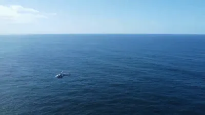 Drone Captures Response to Sydney Shark Attack.