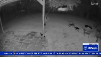 Mysterious Flash and Boom Shakes New Jersey Town.
