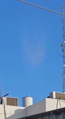 IDF Drops Leaflets, Urges Gaza Residents to Evacuate South. 
