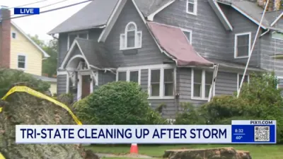 Massive Tree Falls in New Jersey Storm.