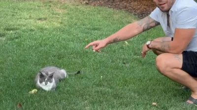 Cat Stays Calm as Mouse Rides on Its Head. 🤣