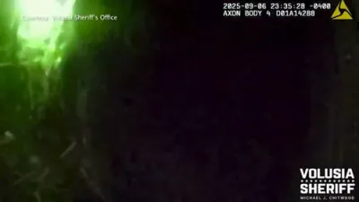 Florida Deputy Encounters Bear During Suspect Hunt.