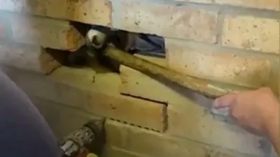 Fox Rescued After Getting Stuck Between Garages.