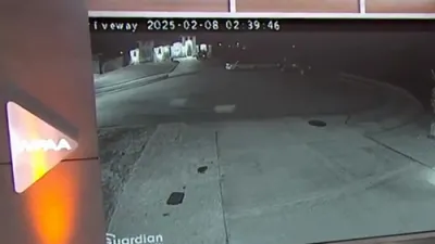 Wild Dog Pack Terrorizes Texas Town.
