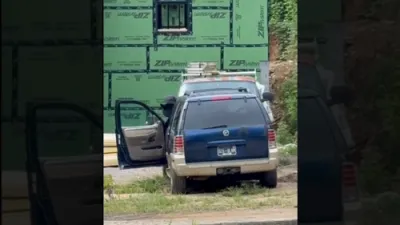Dumpster-Diving Bear Climbs Into Car, Claims Driver's Seat.