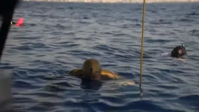 Russian Freediver Sets World Record in Holding Breath Underwater. 