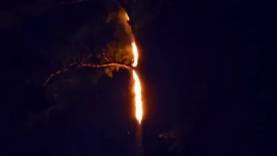 Lightning Strike Turns Tree Into Fire. 
