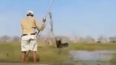 Elephant Attacks Canoe Tourists In Botswana.