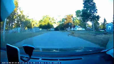 Squirrel Cheats Death After Falling Onto Moving Car in Massachusetts. 