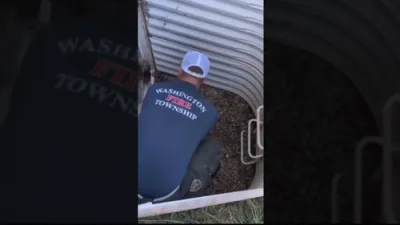 Firefighter's Rescue Turns Chaotic With Escaping Rabbit. 