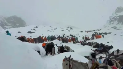 Race Against Time: Everest Hikers Rescued From Deadly Snowstorm.