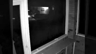 Suspect Arrested After Wild Forklift and ATM Theft Chase.